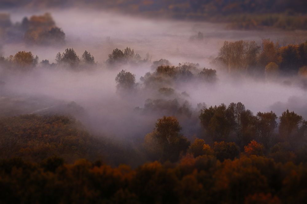 Photograph by Антон Крушеницкий