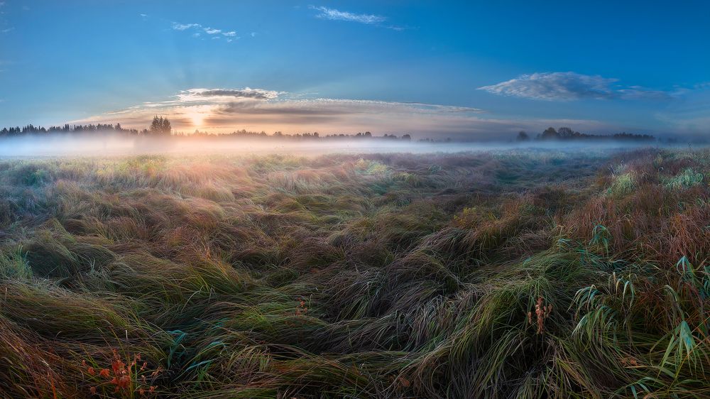 Photograph by Александр Алексеевич