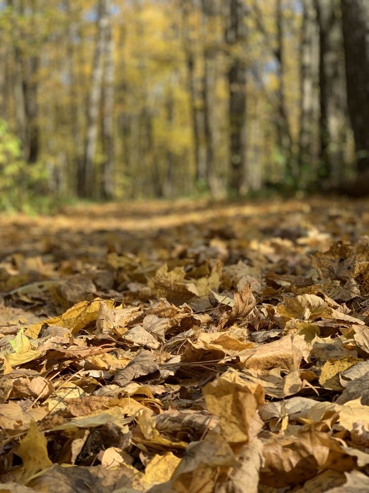 Photograph by гульназ замалеева