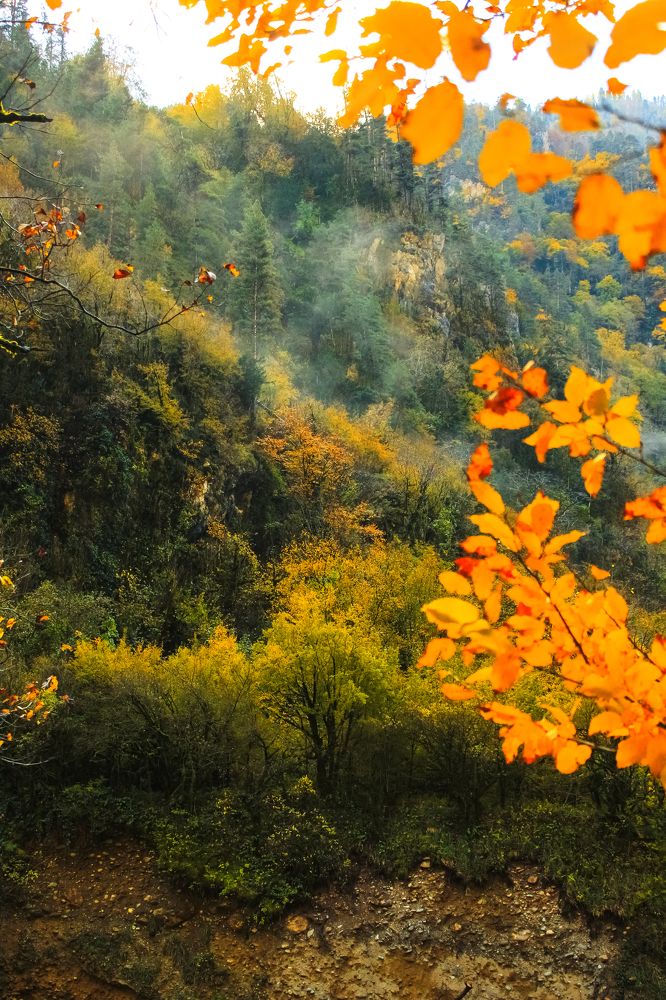 Photograph by Елизавета Цемко