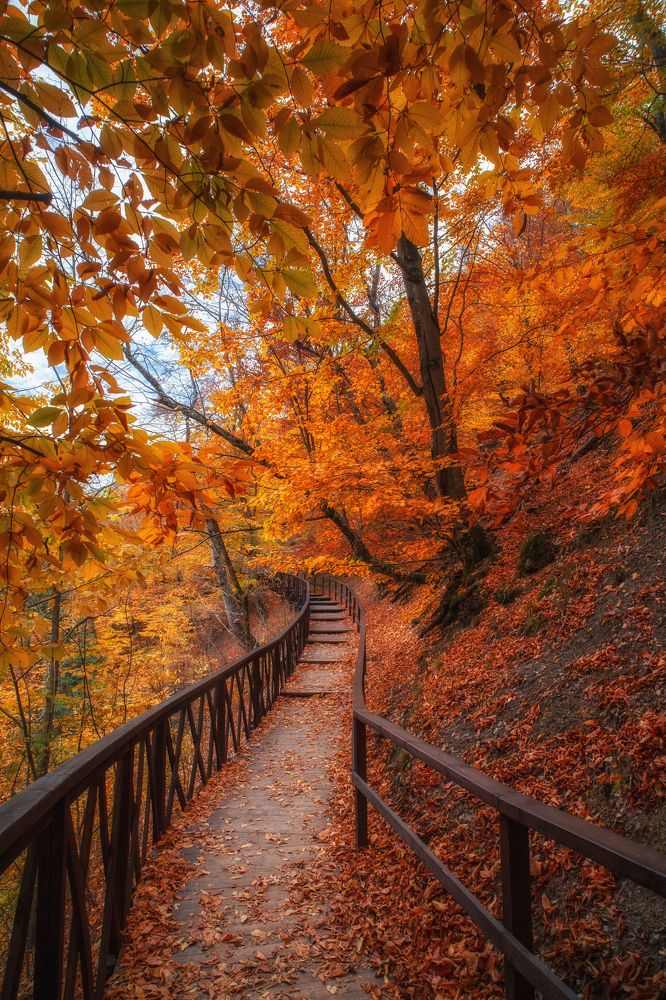 Photograph by Дмитренко Екатерина