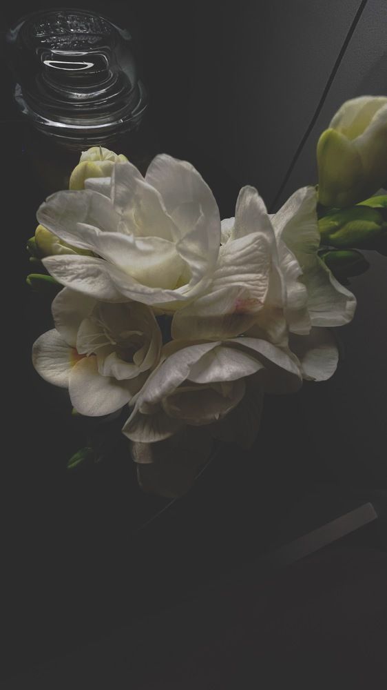 Photograph by Рада Панова