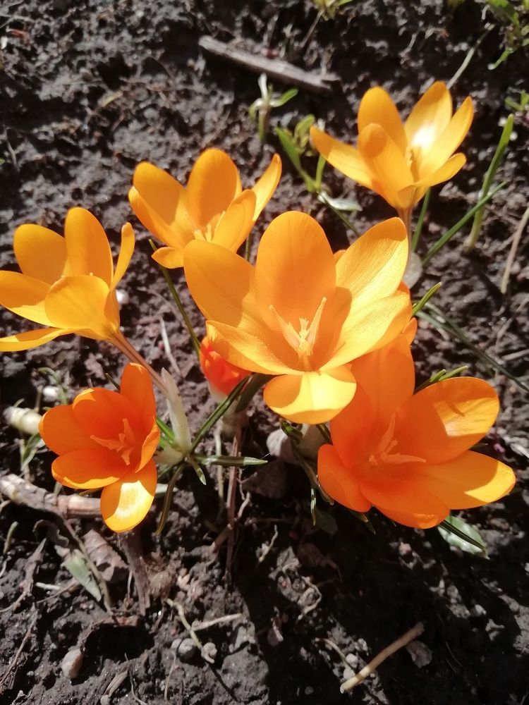 Photograph by Георгий Салюков