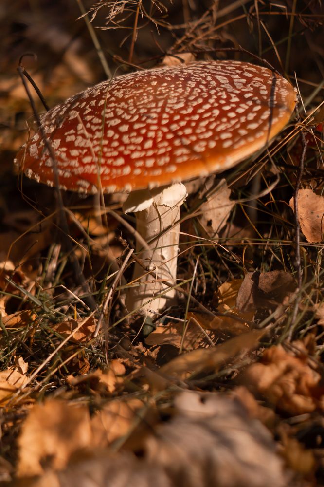 Photograph by Ольга Ивченко