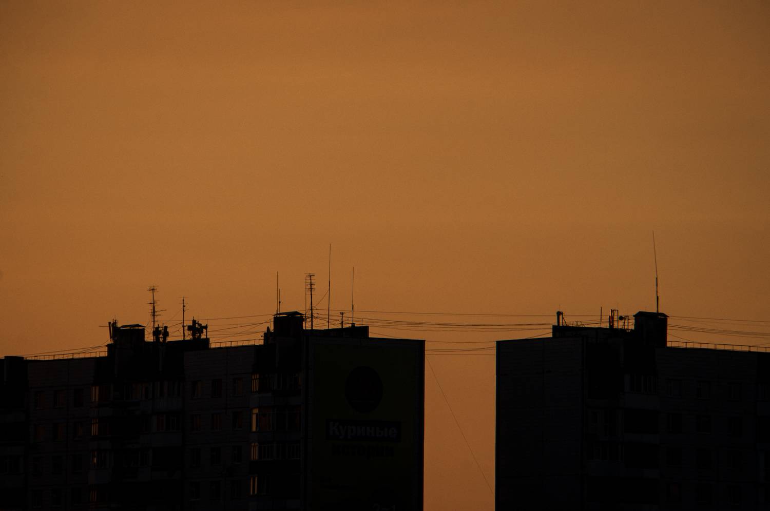 Photo #9599172