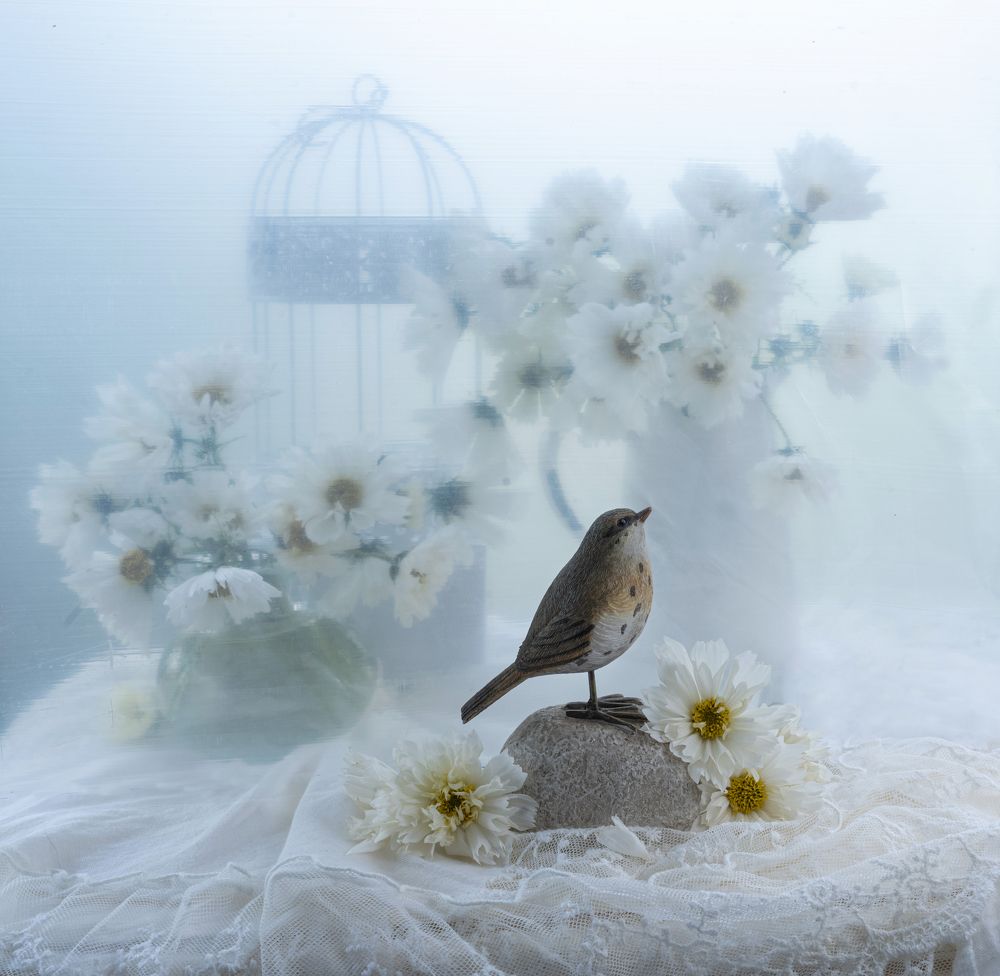 Photograph by NADEZHDA PELYMSKAIA