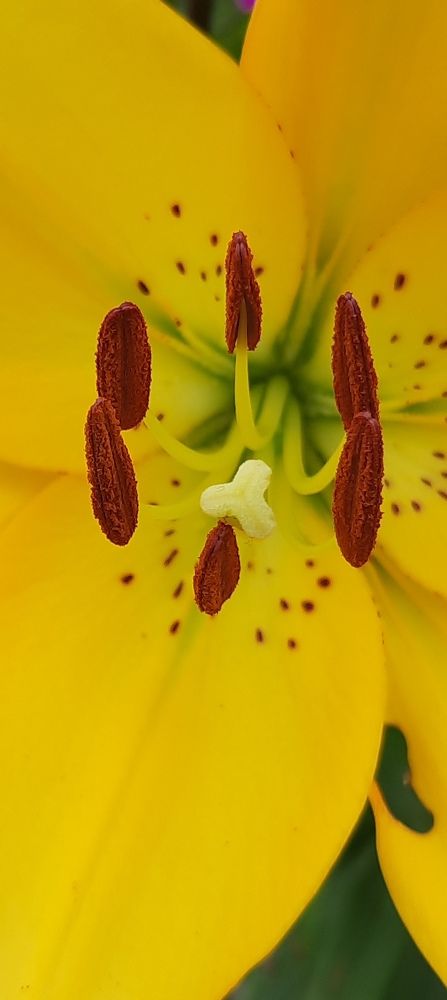 Photograph by Sonia Crotta