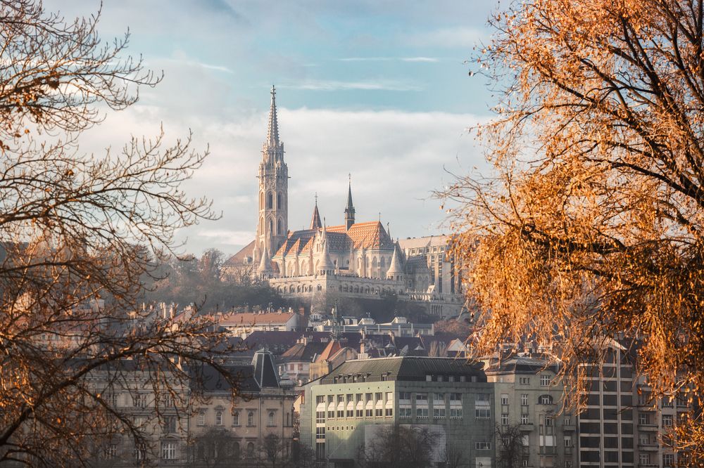 Photograph by Lara Iris