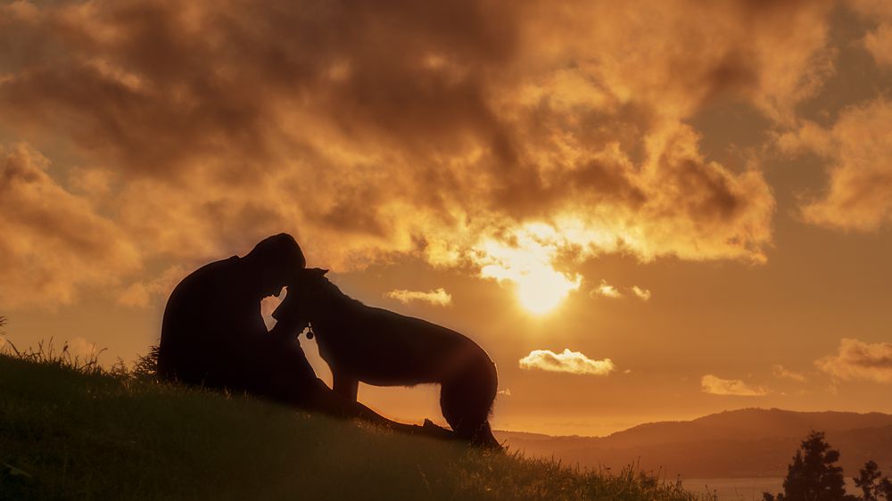 Фотография автора Aida Cea