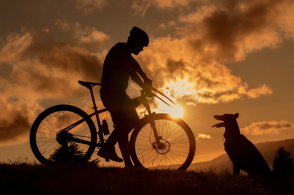 Фотография автора Aida Cea