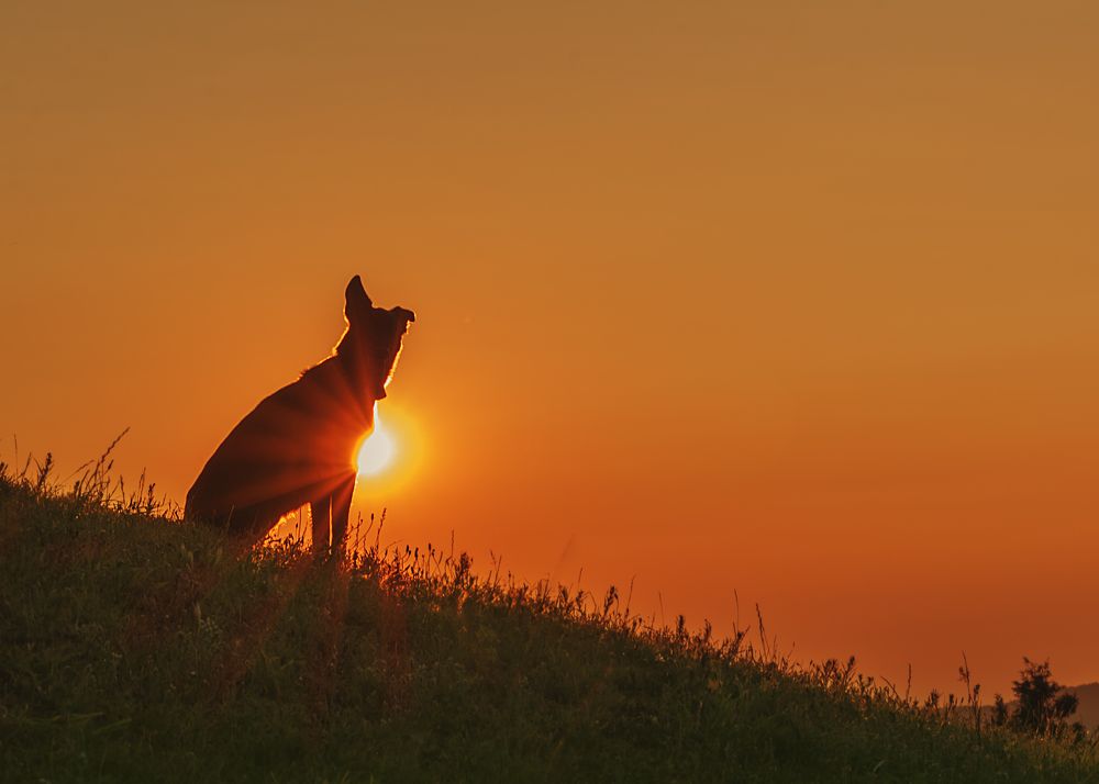 Фотография автора Aida Cea