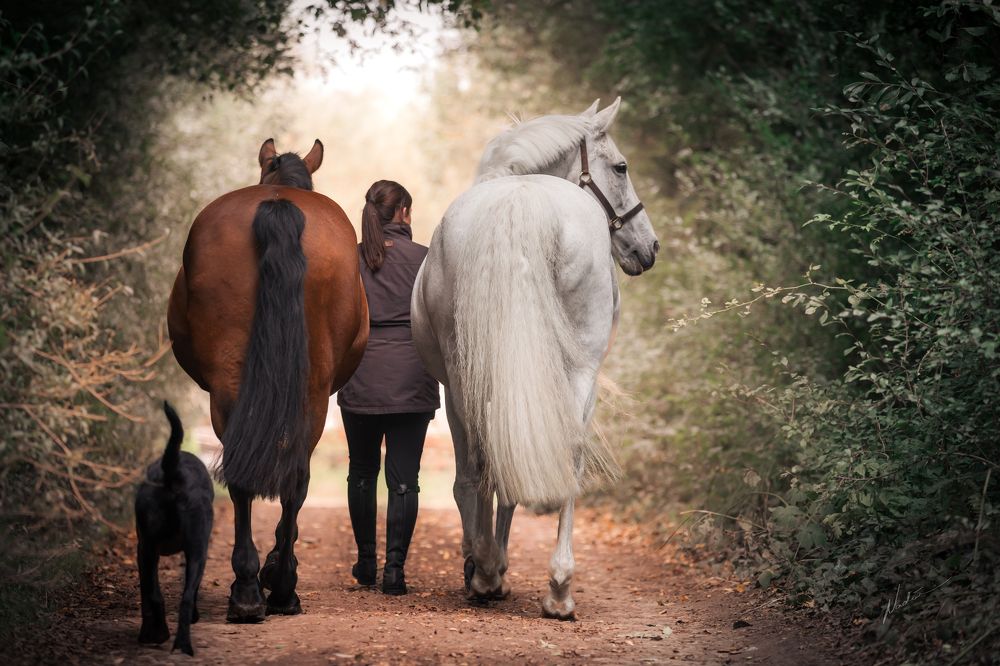 Фотография автора Nadina Ironia