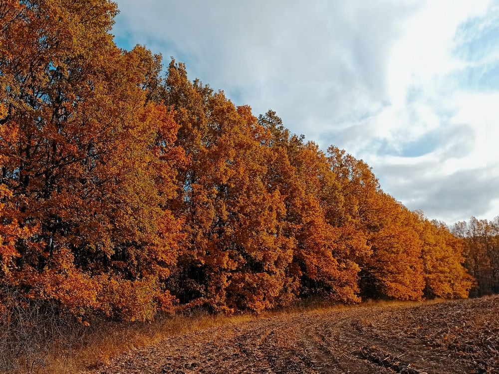 Фотография автора Иван