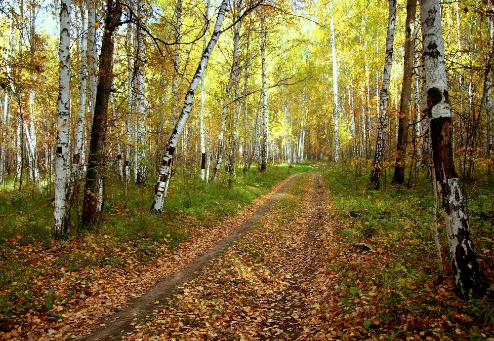 Фотография автора Nelya  Lysenko