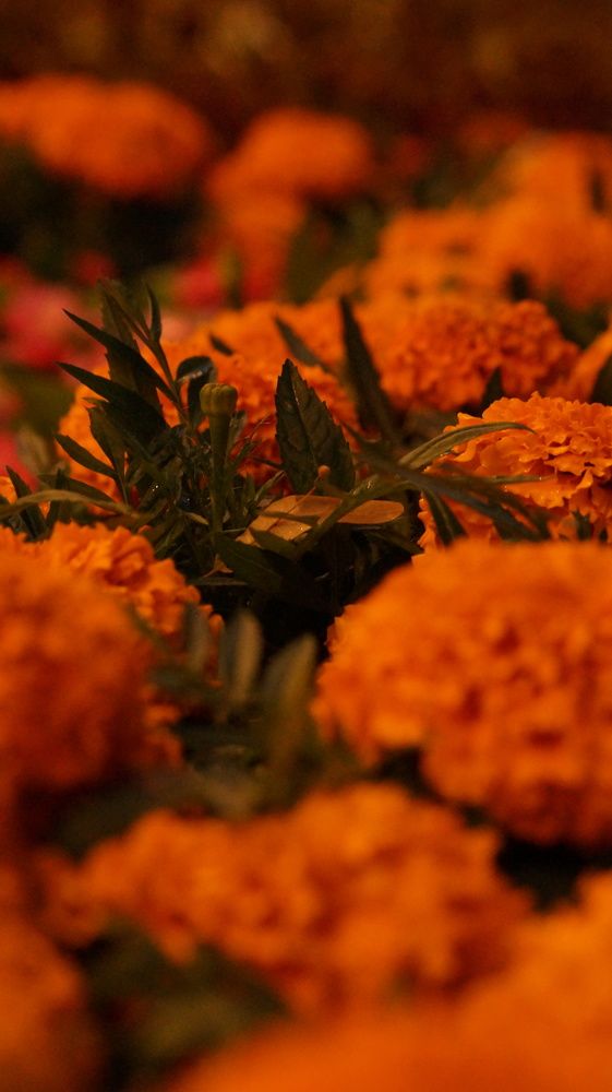 Photograph by Надежда Кнак