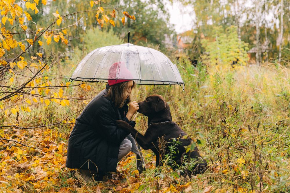Photograph by Полина Родинс