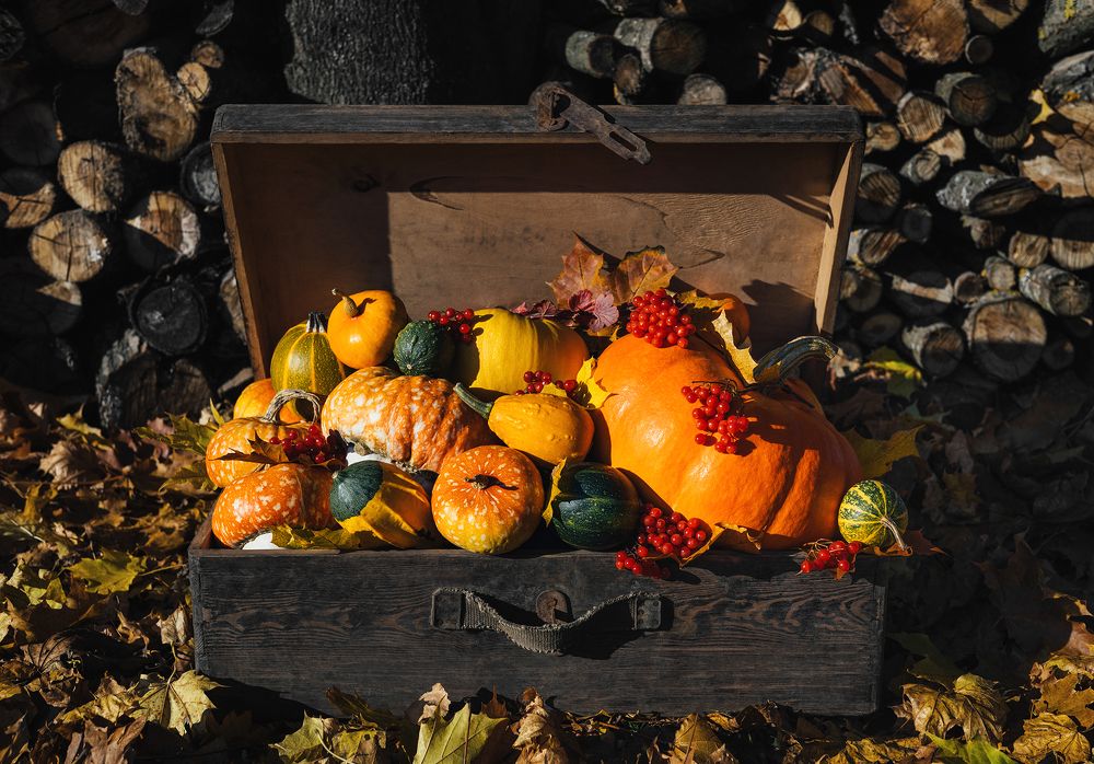 Photograph by Марина Багрова