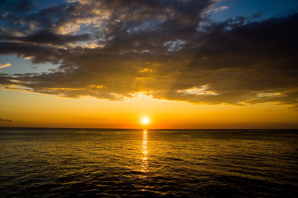 Фотография автора Василиса Новикова