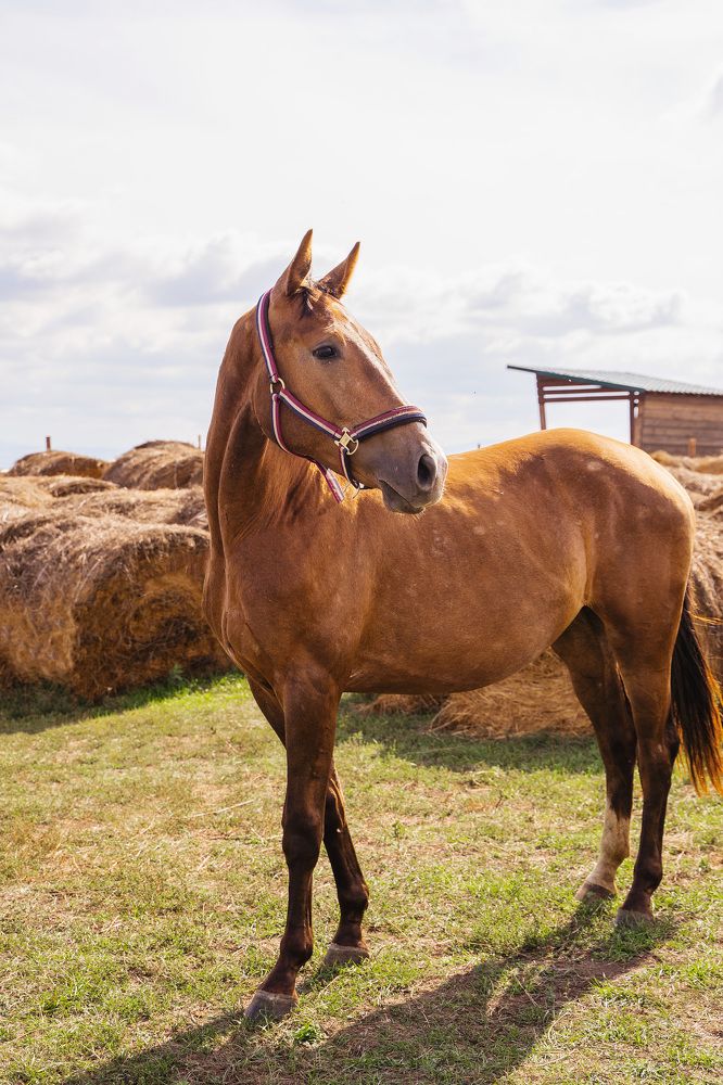 Фотография автора Юлия Бец