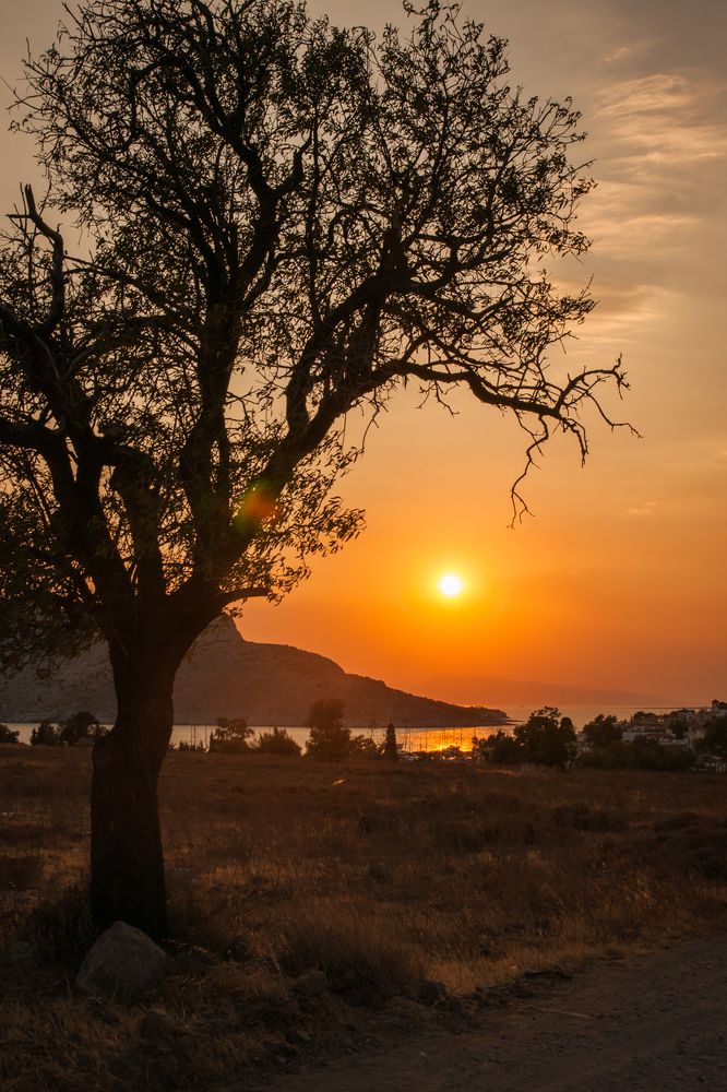 Photograph by Дария Максимова