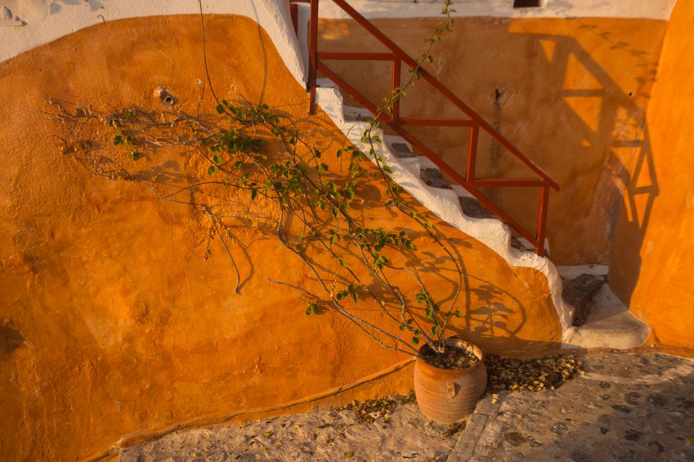 Photograph by Дария Максимова