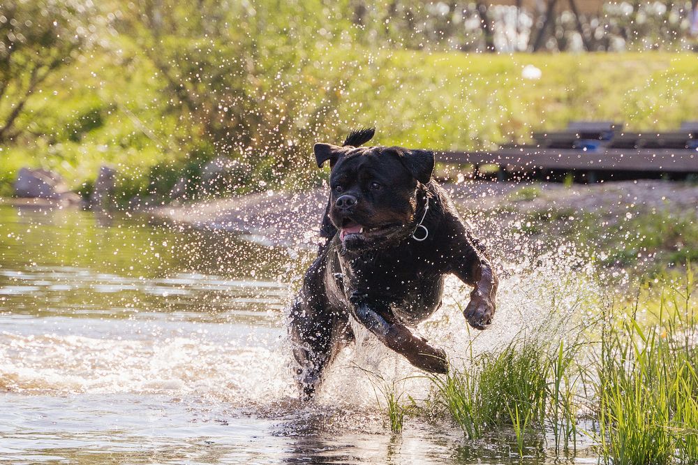 Photograph by Юлия Бец