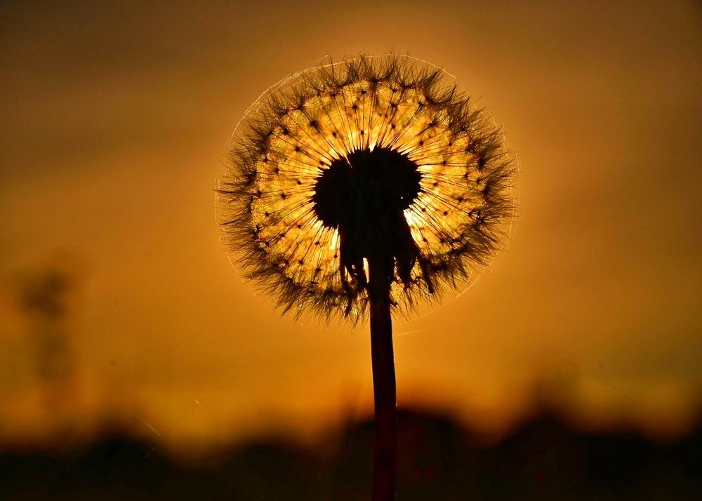 Photograph by Tanzilya Gabidullina