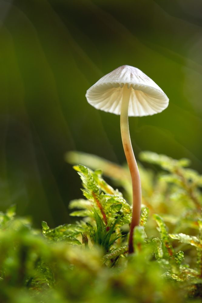 Photograph by Evgeny S.