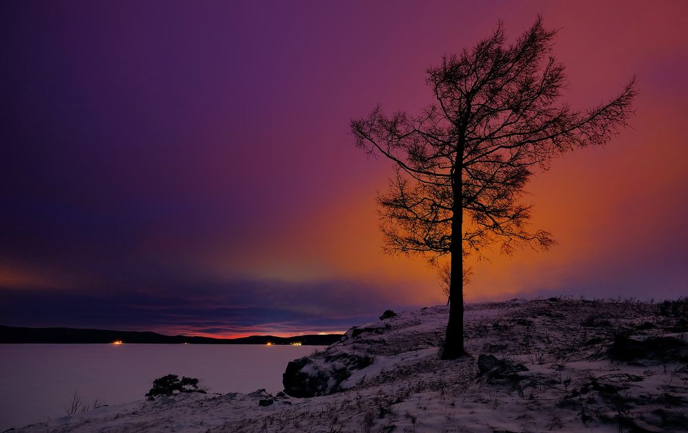 Photograph by Гудков Игорь