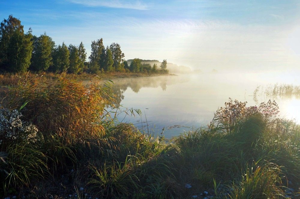 Photograph by Мишустина Татьяна