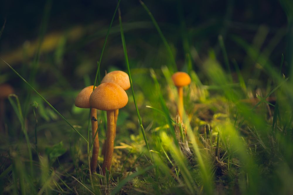 Photograph by Olga Snai