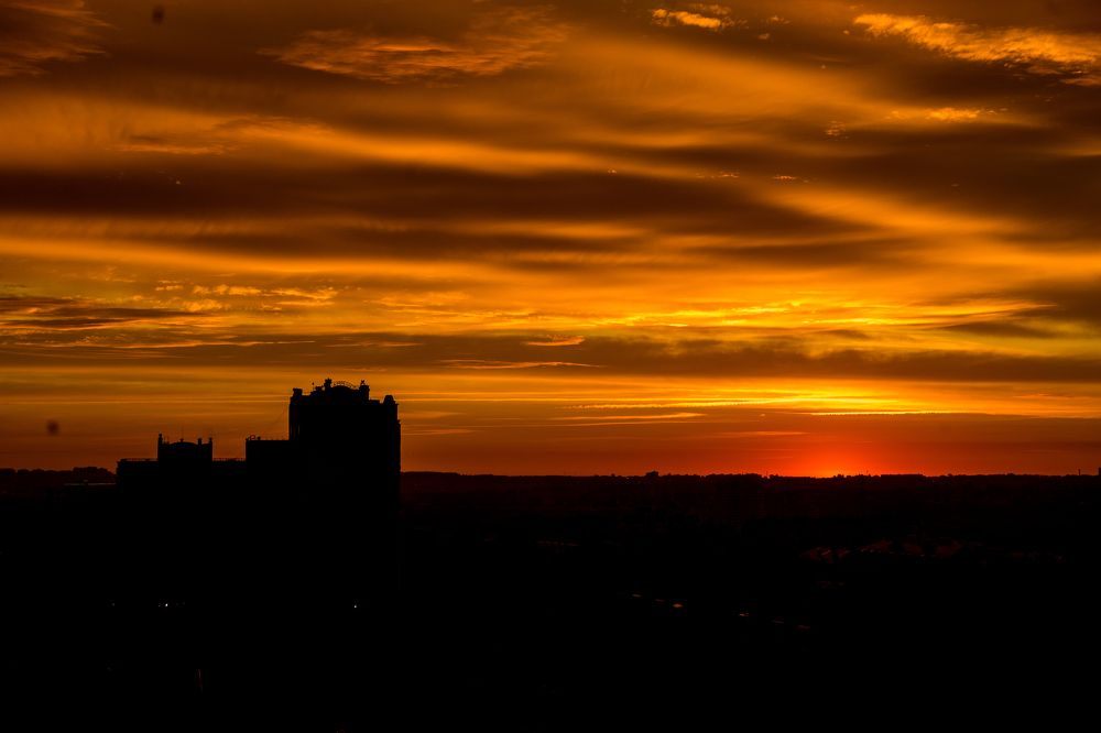 Фотография автора Василиса Новикова
