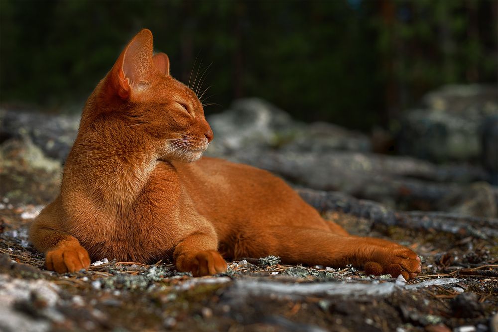 Photograph by Елена Михайлова