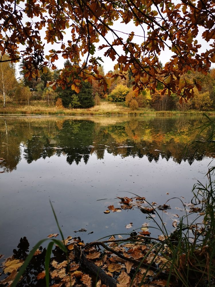 Photograph by Екатерина Усова