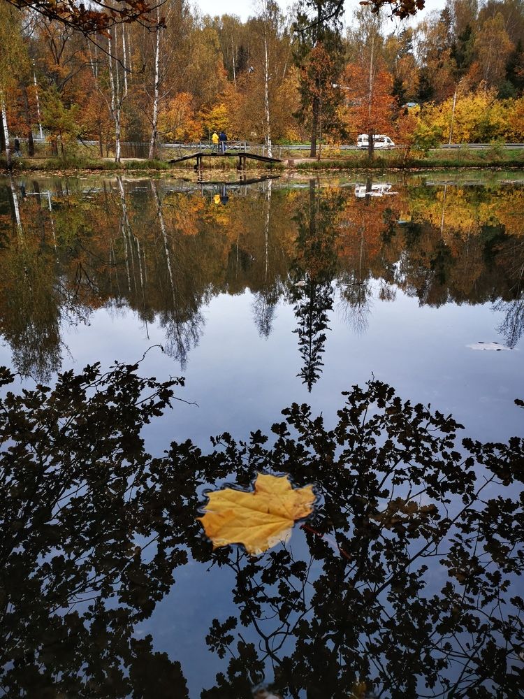 Photograph by Екатерина Усова