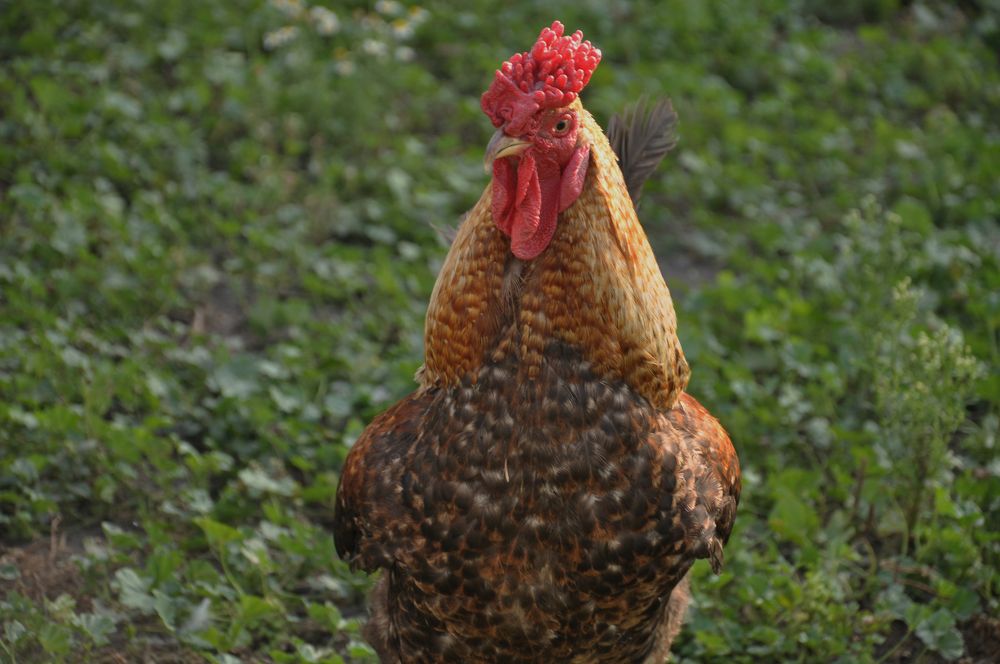 Photograph by Галина Лысых