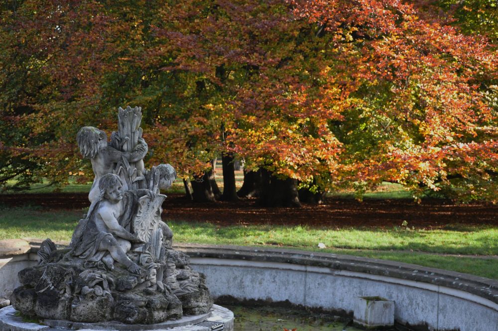 Photograph by Галина Лысых