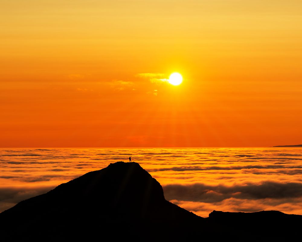 Photograph by Piotr Mickevic