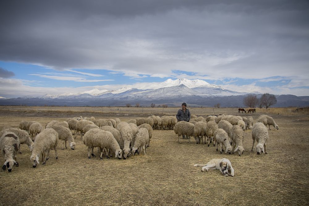 Photograph by AYLIN EROZCAN