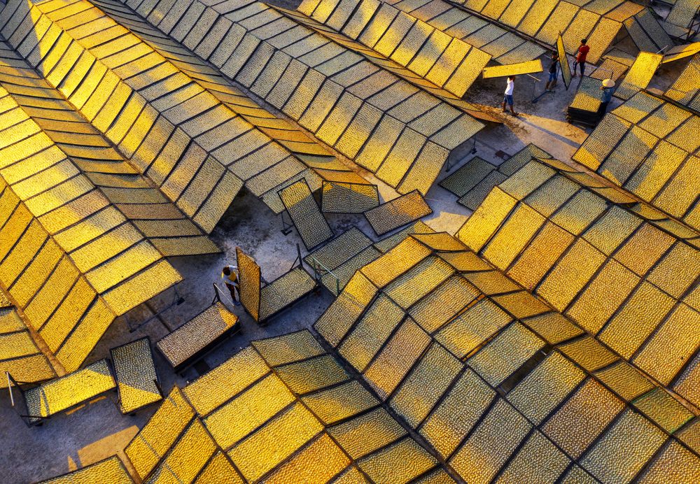 Photograph by Duong Le Thai