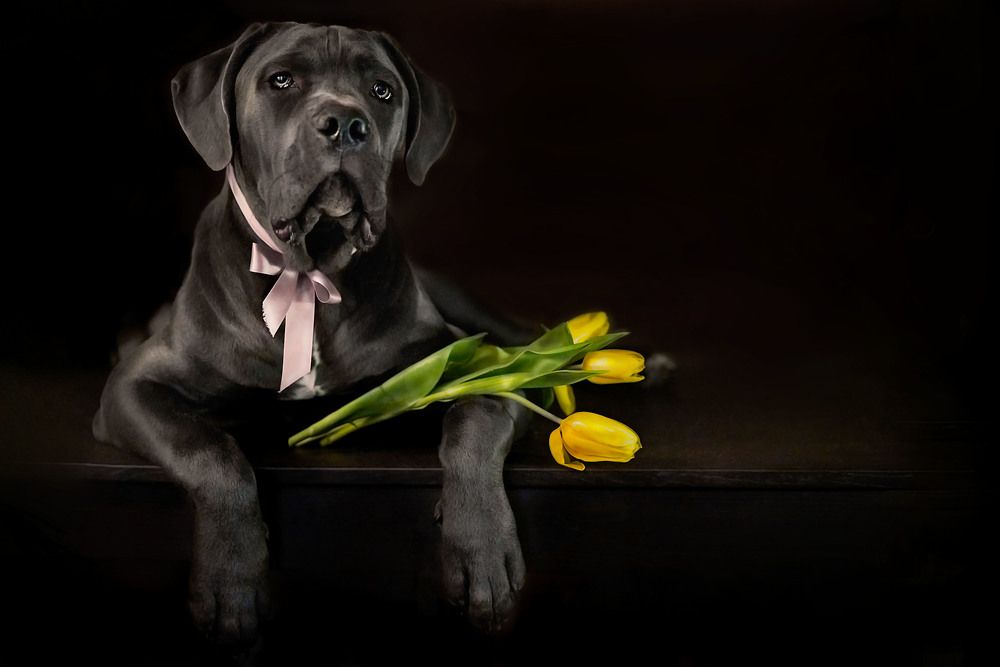 Photograph by Оксана Сироштан