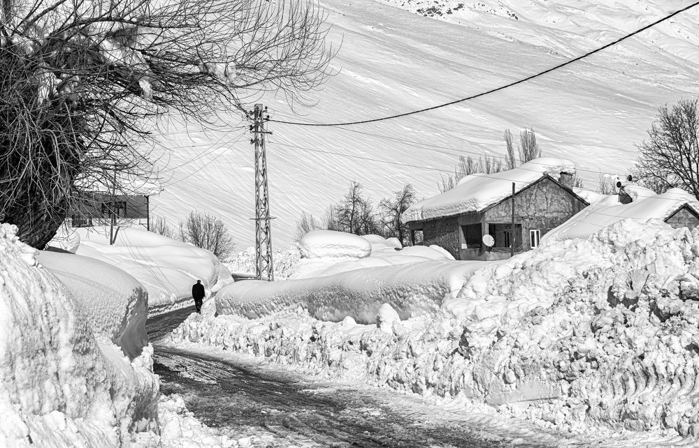 Фотография автора AYLIN EROZCAN