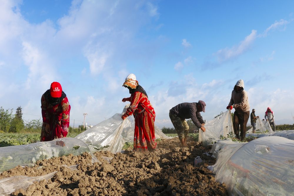 Photograph by Yakup Temel