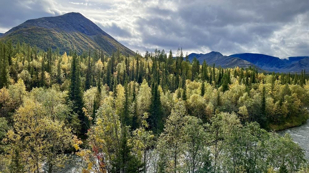 Photograph by Юлия Казимирова