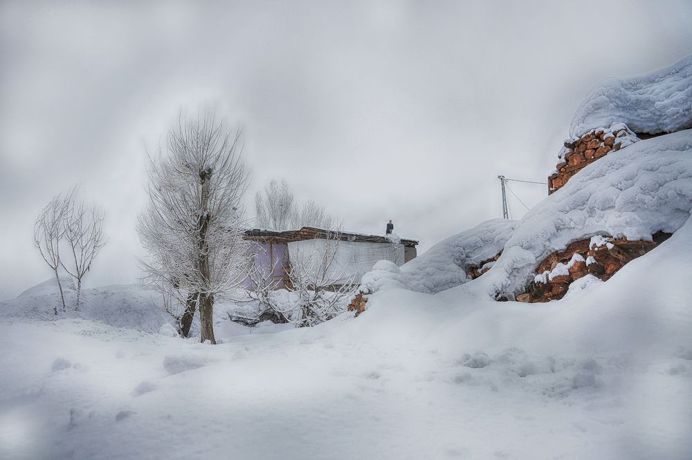 Фотография автора AYLIN EROZCAN