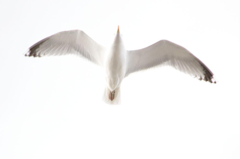 Photograph by Игорь Блинов