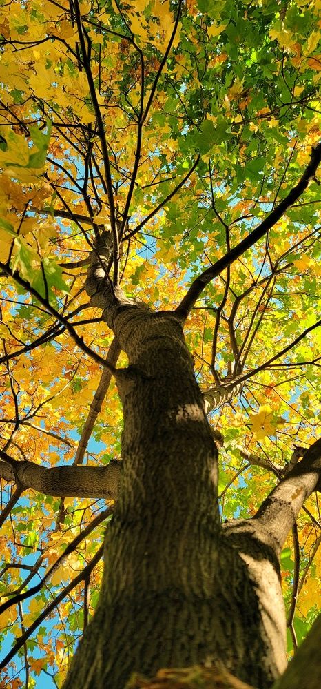 Photograph by Анна Вокуева