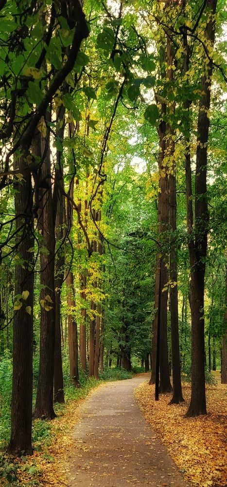 Photograph by Анна Вокуева