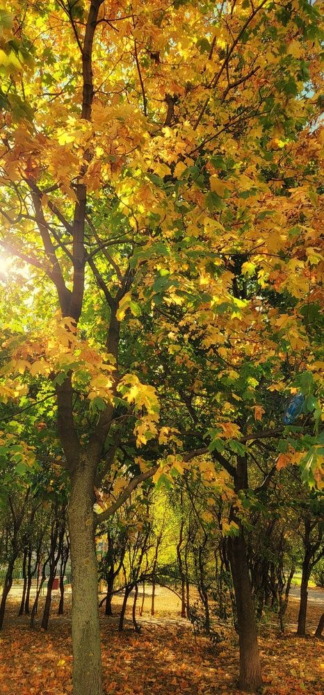 Photograph by Анна Вокуева