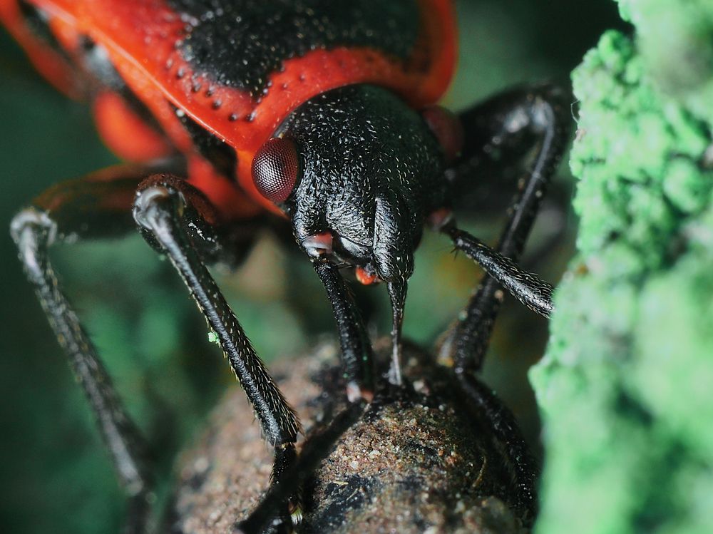 Photograph by Ирина Протченко